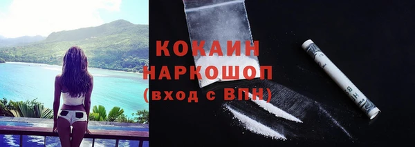 мяу мяу мука Абаза