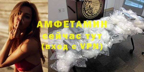мет Алексин