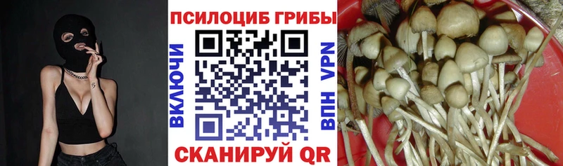 Псилоцибиновые грибы Magic Shrooms  Чебаркуль 